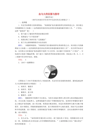 高中历史 专题五 走向世界的资本主义市场 5.2 血与火的征服与掠夺课时作业（含解析）人民版必修2-人民版高一必修2历史试题