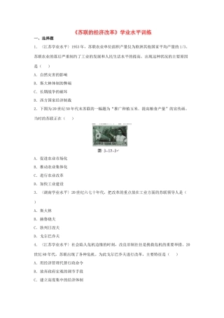 高中历史 第17课 苏联的经济改革学业水平训练 岳麓版必修2-岳麓版高一必修2历史试题
