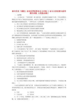 高中历史 专题五 走向世界的资本主义市场 2 血与火的征服与掠夺课后训练 人民版必修2-人民版高一必修2历史试题