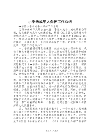小学未成年人保护工作总结 