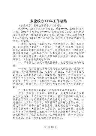 乡党政办XX年工作总结 
