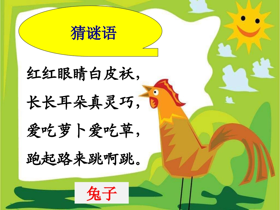 《身边的动物》课件_第3页