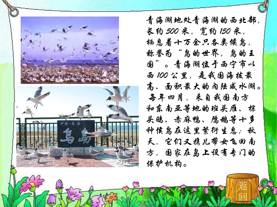 《青海湖，梦幻般的湖》3_第3页
