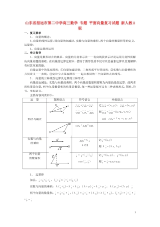 山东省招远市第二中学高三数学 专题 平面向量复习试题 新人教A版
