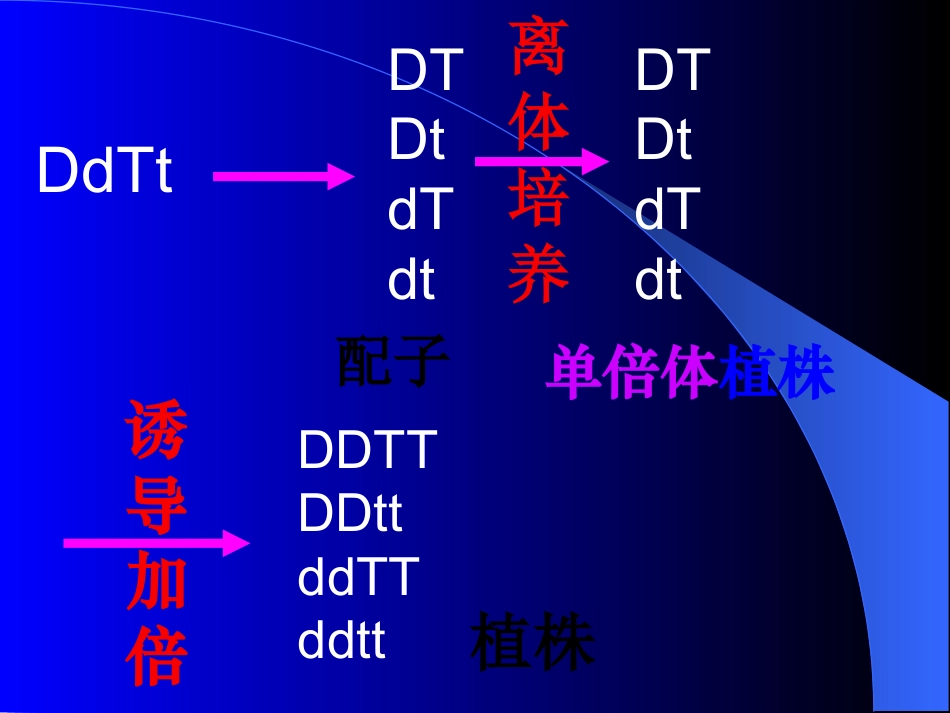 《杂交育种与诱变育种》课件_第3页