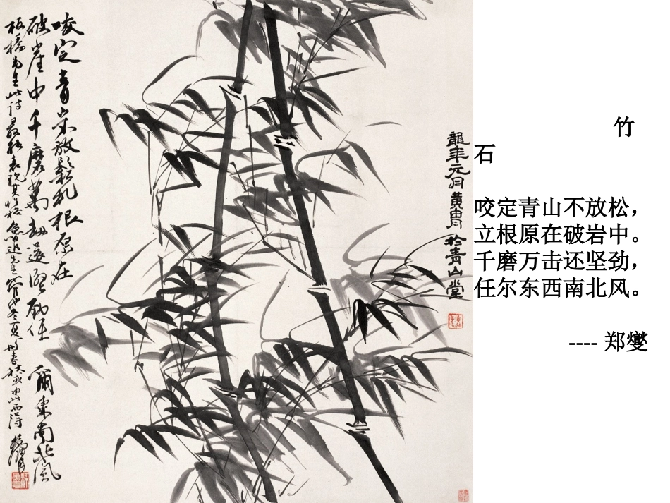 《竹影》课件 (2)_第3页