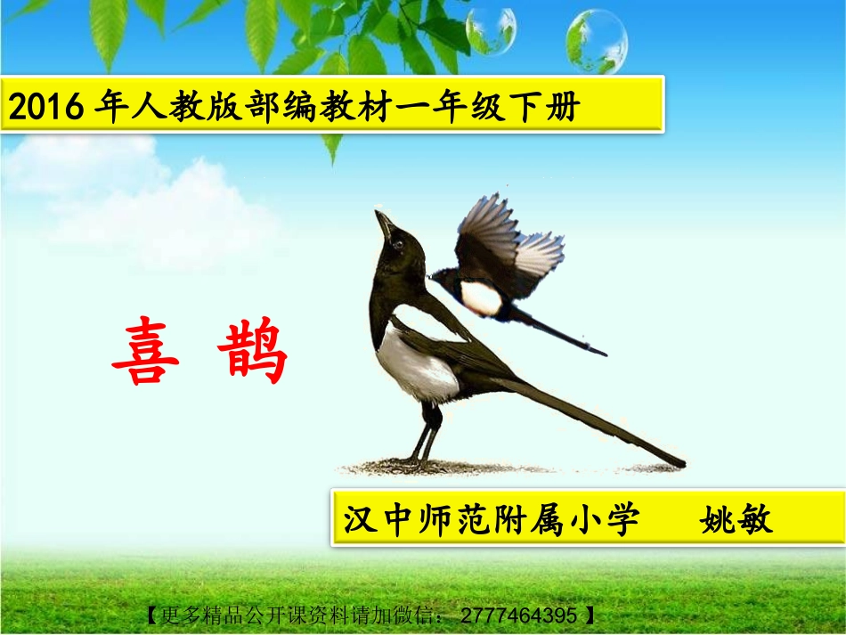 【18】《树和喜鹊》课件PPT【省级一等奖】【更多精品公开课资料请加微信：2310025701】_第1页