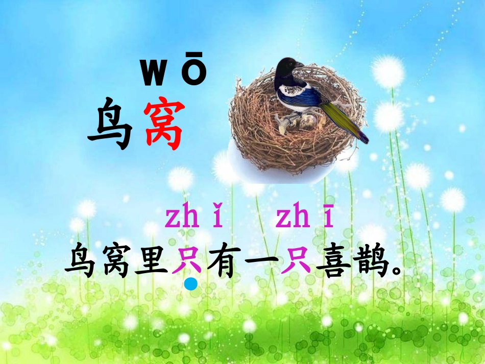 【18】《树和喜鹊》课件PPT【省级一等奖】【更多精品公开课资料请加微信：2310025701】_第3页