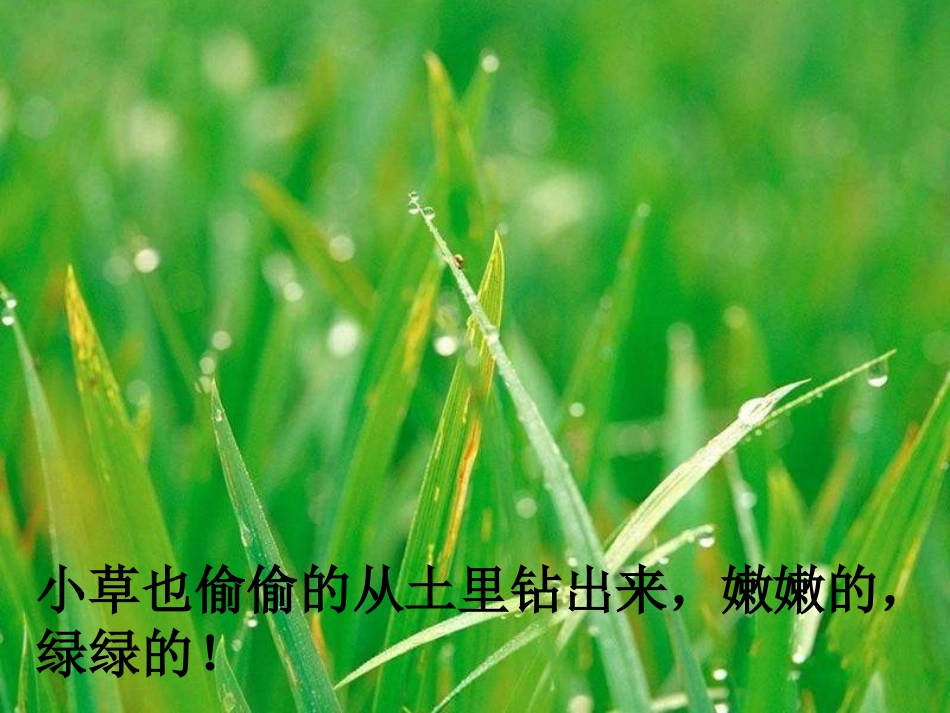 《永生的眼睛》PPT课件 (3)_第2页