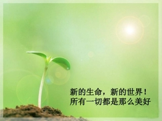 《永生的眼睛》PPT课件 (3)