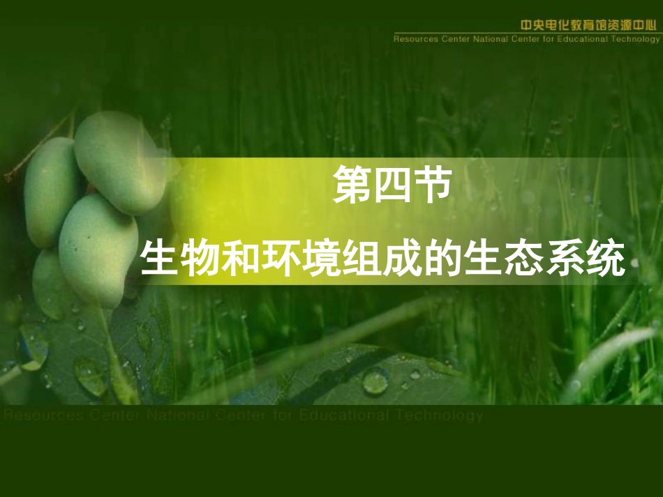 《生物与环境组成生态系统》课件_第1页