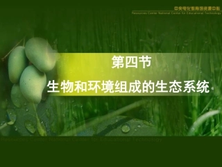 《生物与环境组成生态系统》课件