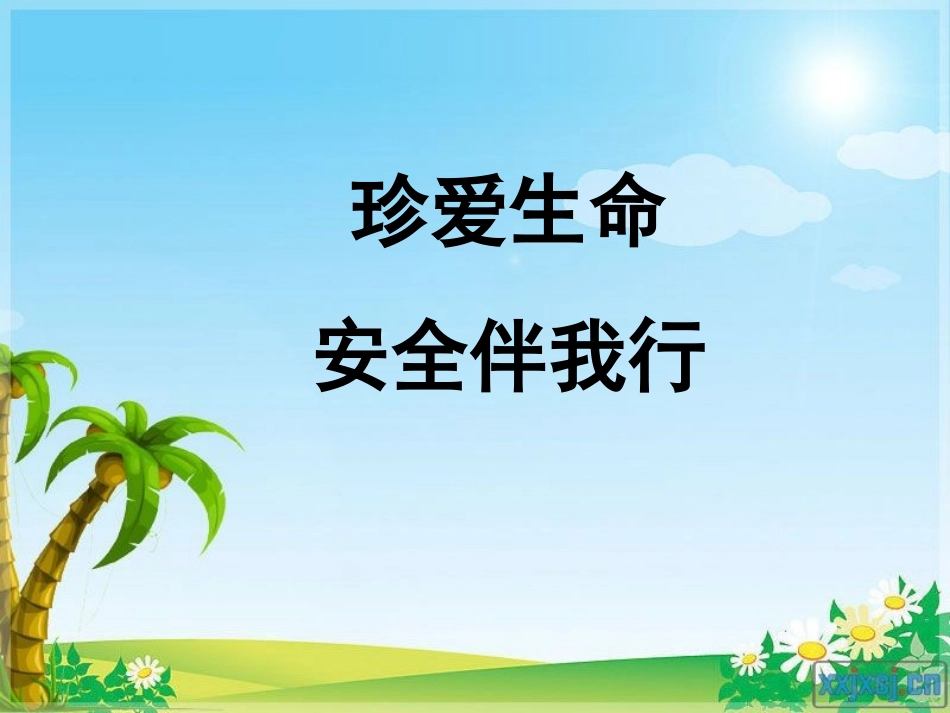 《珍爱生命安全伴我行》PPT_第1页