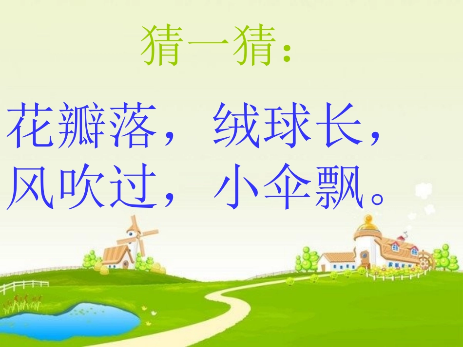 《蒲公英》PPT课件[1]_第1页