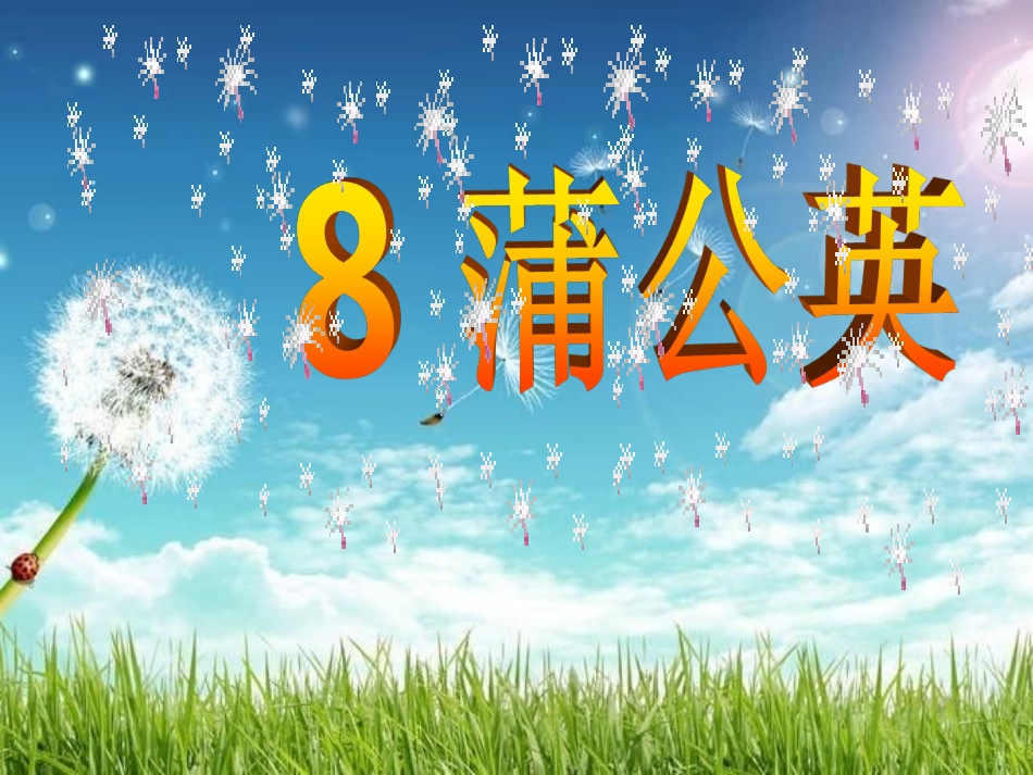 《蒲公英》PPT课件[1]_第3页
