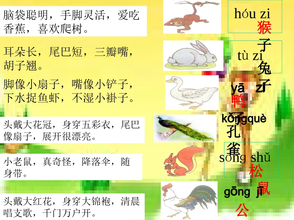 一年级上册《比尾巴》课件_第2页