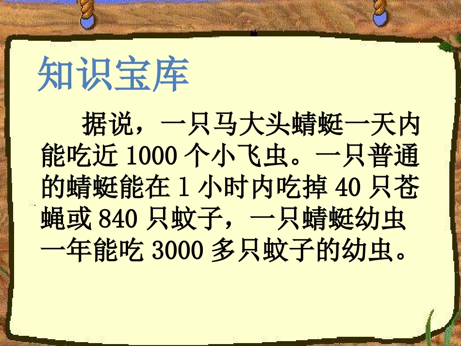 《放飞蜻蜓》教学课件_第3页