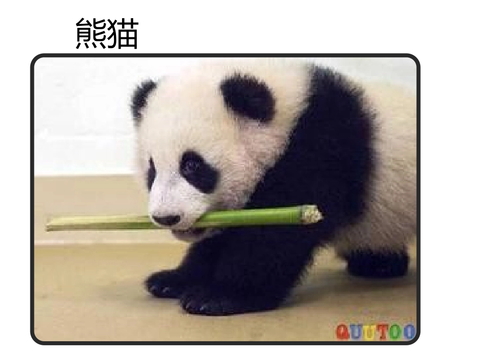 一年级思品&mdash;&mdash;认识动物课件_第3页