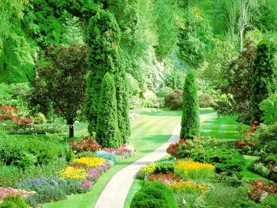 《美丽的小路》教学课件2_第1页