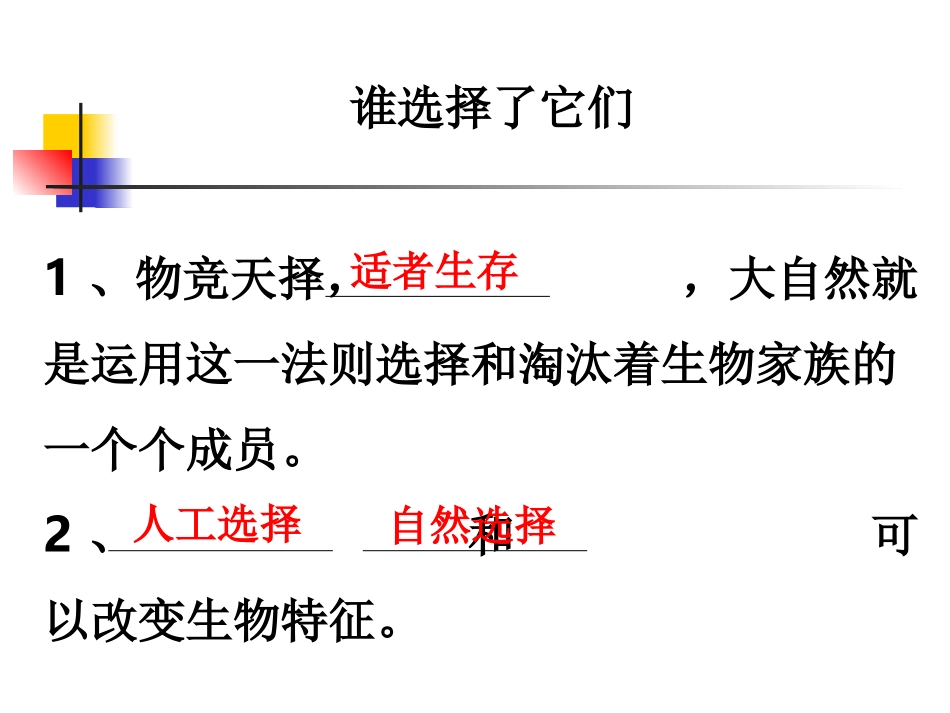《谁选择了它们》教科版小学科学六年级上册第四单元PPT随堂测课件_第1页