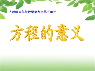 《简易方程》方程的意义