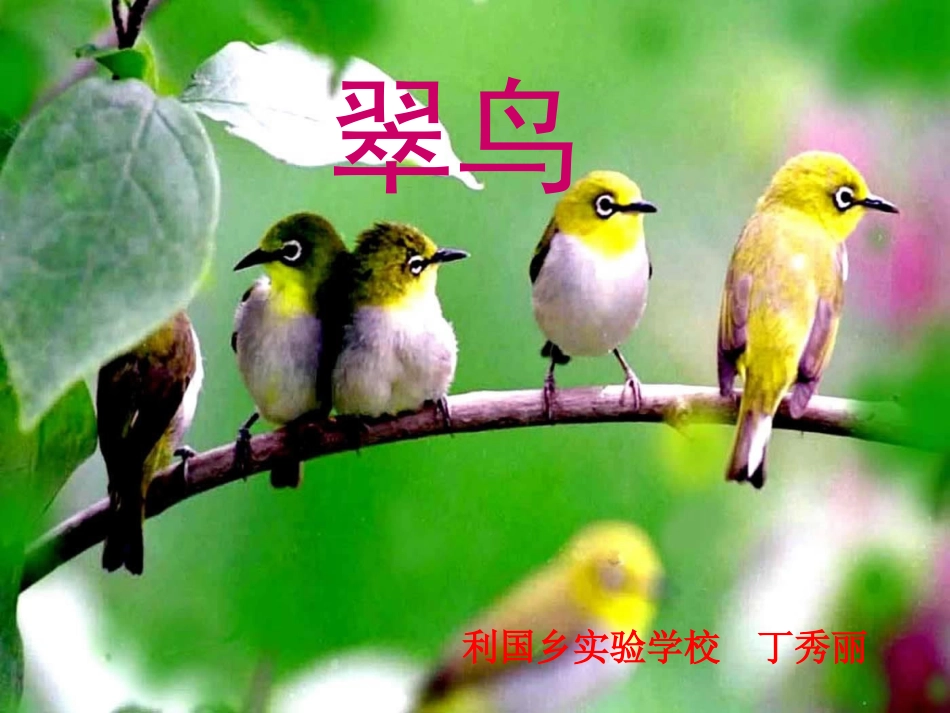 《翠鸟》丁秀丽)_第1页