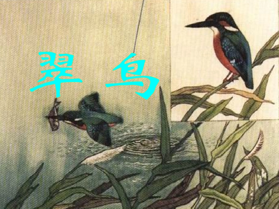 《翠鸟》丁秀丽)_第3页