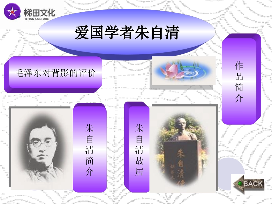 《背影》课件2（20张PPT）（人教新课标八年级上）_第2页