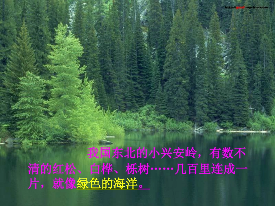 美丽的小兴安岭_第2页