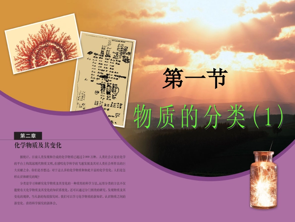 《物质的分类》课件1 (2)_第2页