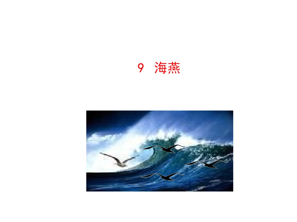 《海燕》PPT课件_第1页
