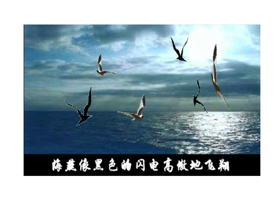 《海燕》PPT课件_第2页
