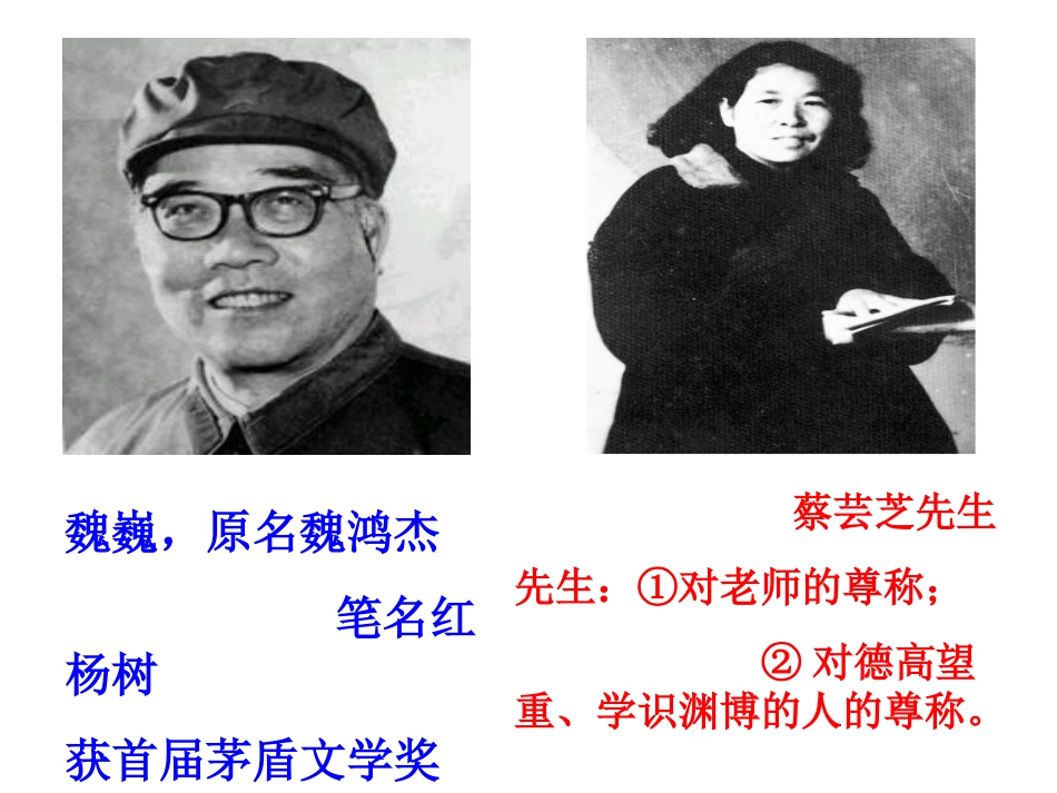 《我的老师》课件 (3)_第2页