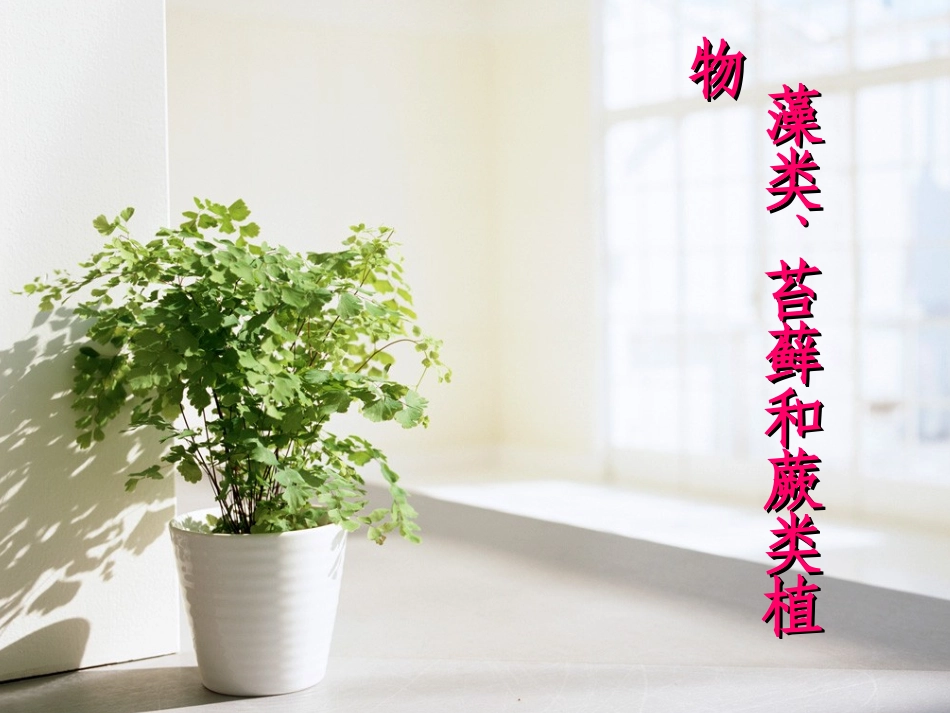 《藻类、苔藓和蕨类植物》PPT课件_第3页