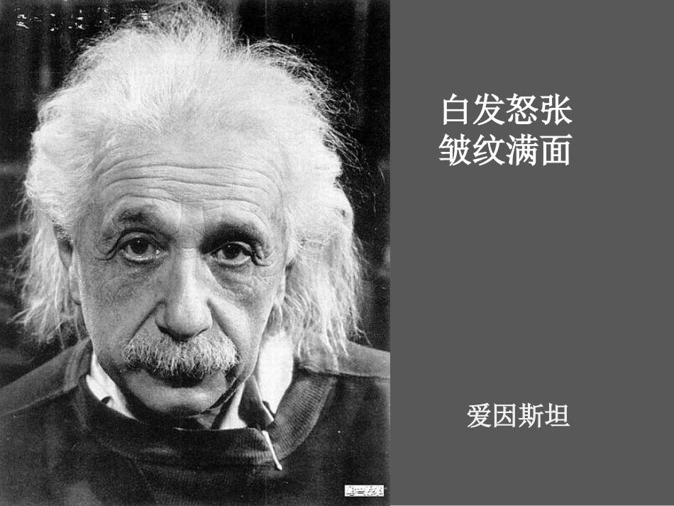 《科学是美丽的》课件_第3页
