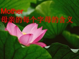《荷叶母亲》课件