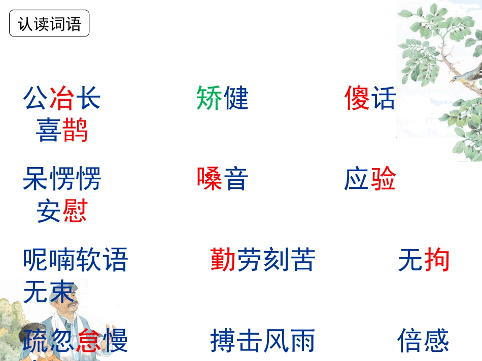 《鸟语》第一课时 (2)_第3页