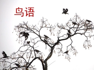 《鸟语》第一课时 (2)
