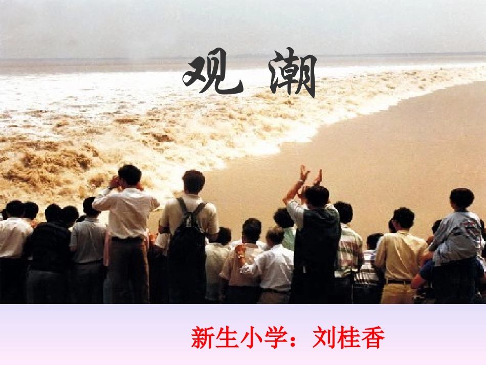 《观潮》课件 (3)_第1页
