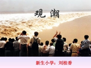 《观潮》课件 (3)