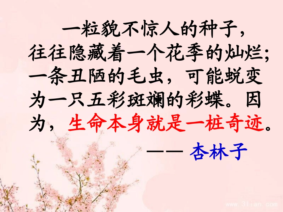 《生命生命》课件_第2页