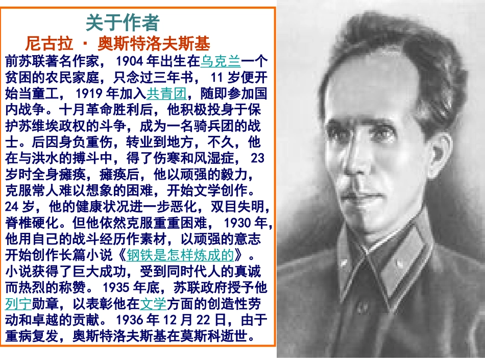 《钢铁是怎样炼成的》复习课件_第2页