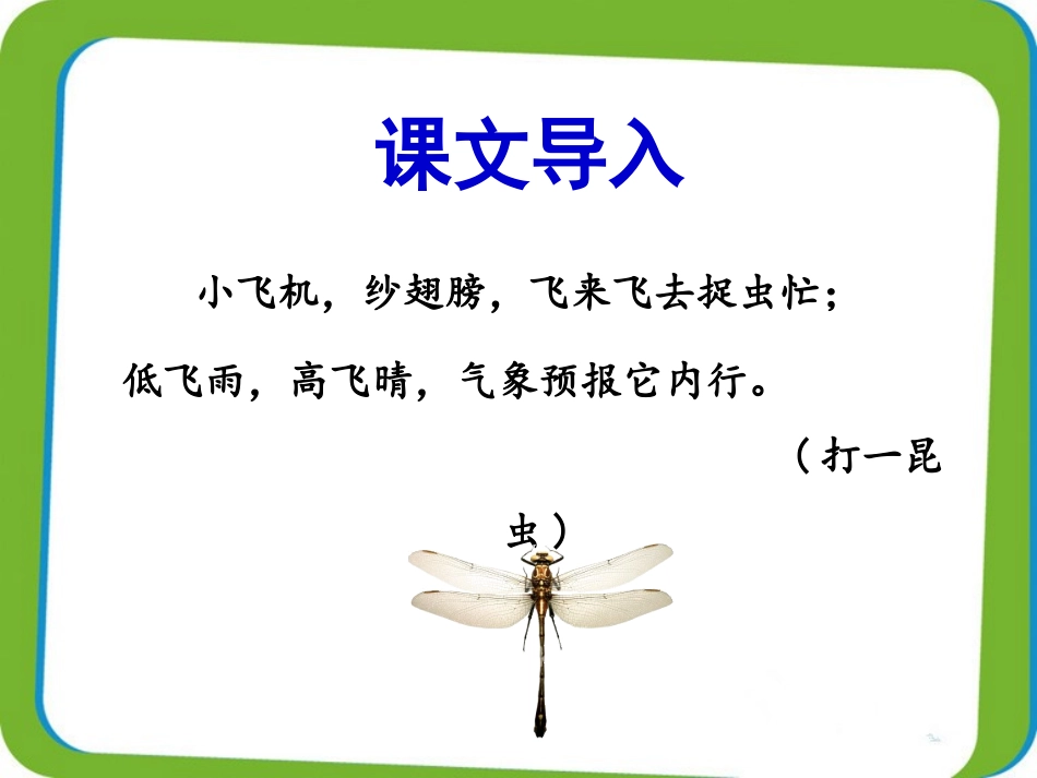 《放飞蜻蜓》课件1_第2页