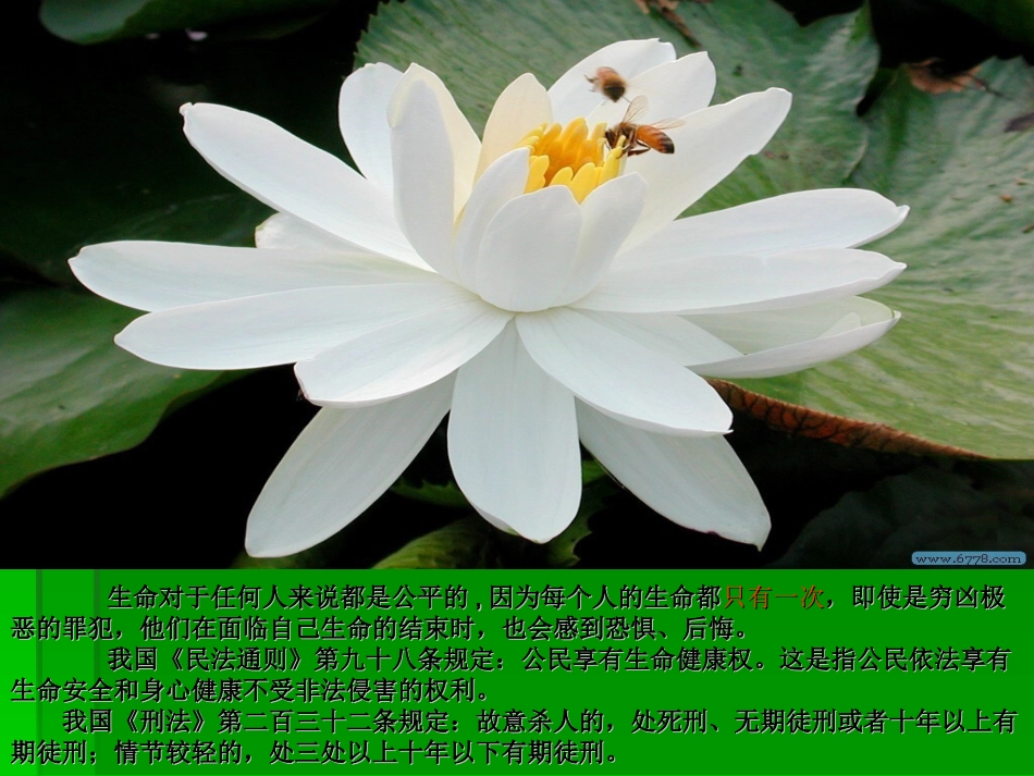 《珍爱我们的生命》思品_第1页