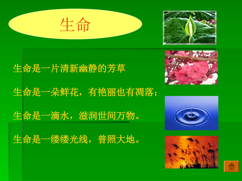 《珍爱我们的生命》思品_第3页