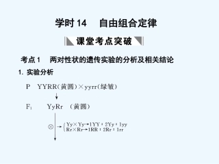 【创新设计】2011届高考生物一轮复习 第一单元 学时14 自由组合定律课件 浙科版必修2
