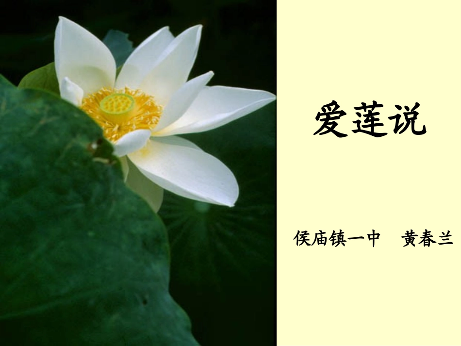 《爱莲说》教学课件_第1页