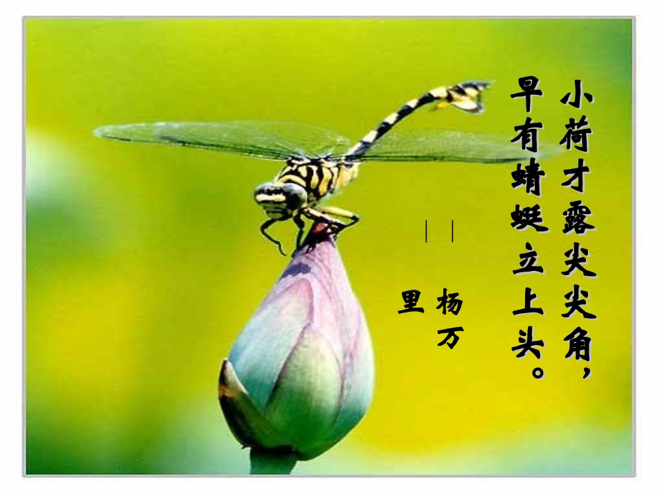 《爱莲说》教学课件_第2页
