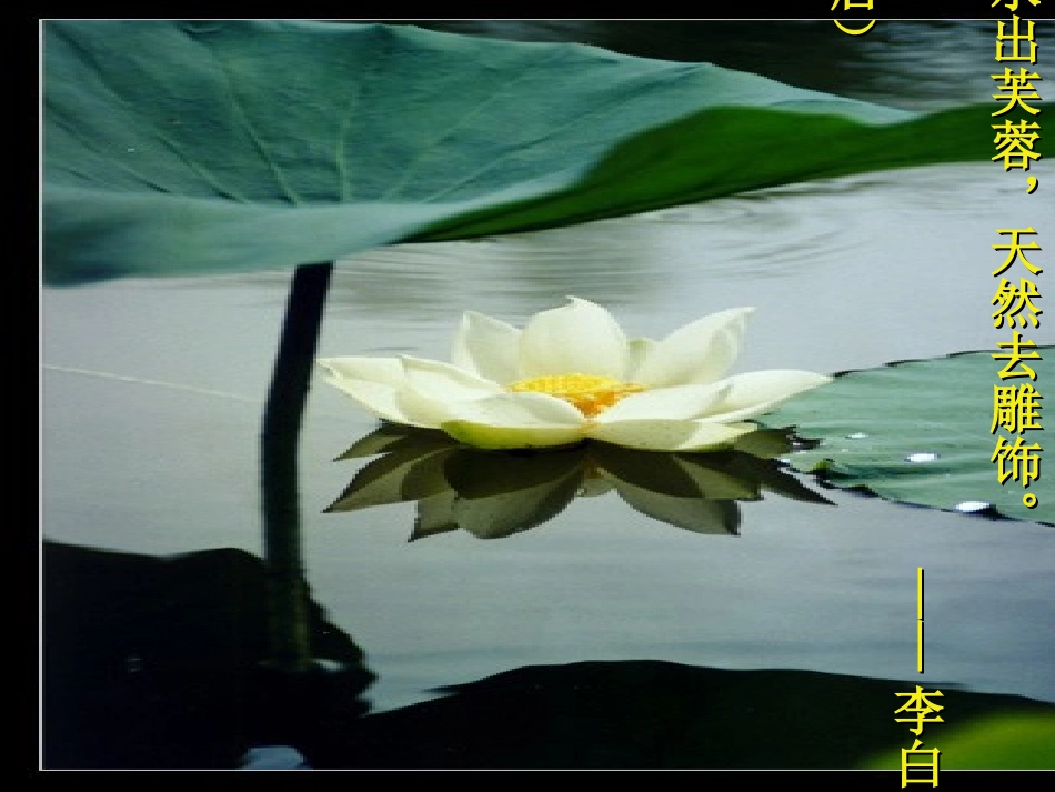 《爱莲说》教学课件_第3页