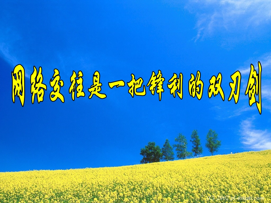 《网络上的人际交往》课件42222_第3页